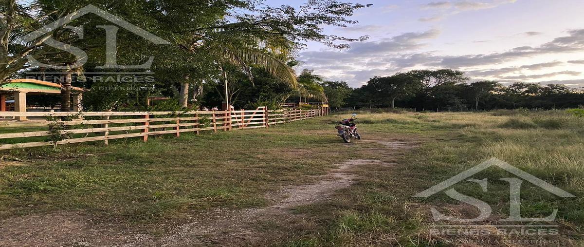 Foto de terreno comercial en venta en  , suma, suma, yucatán, 0 No. 04
