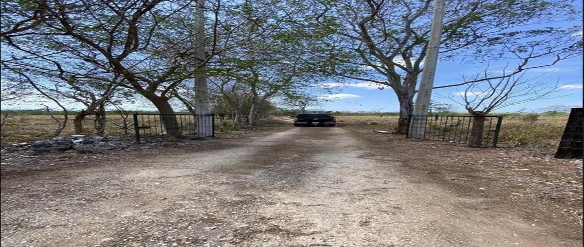 Foto de terreno habitacional en venta en  , suma, suma, yucatán, 0 No. 04