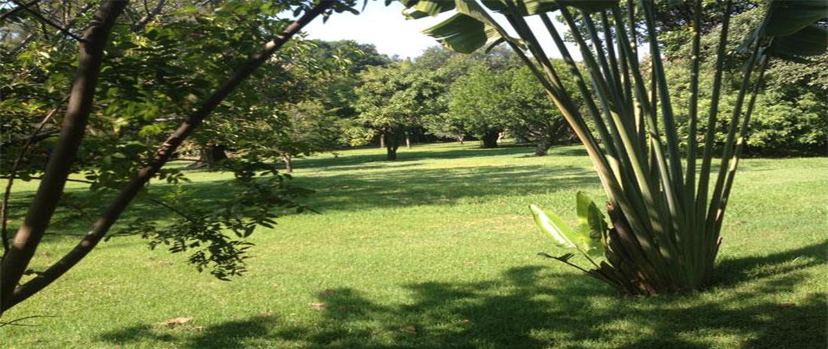 Foto de terreno habitacional en venta en  , sumiya, jiutepec, morelos, 0 No. 04