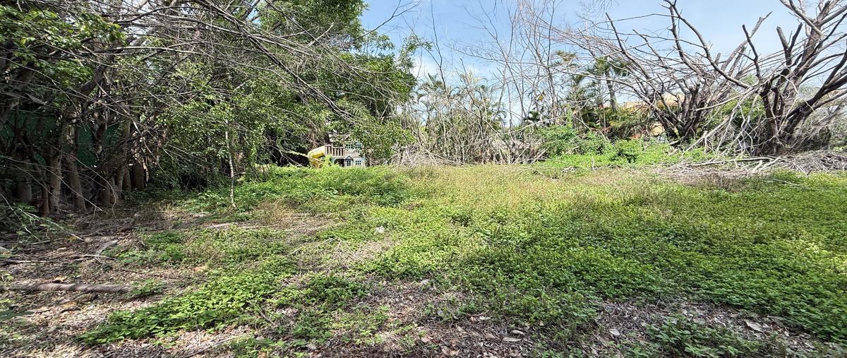 Foto de terreno habitacional en venta en sumiya , sumiya, jiutepec, morelos, 29975088 No. 05
