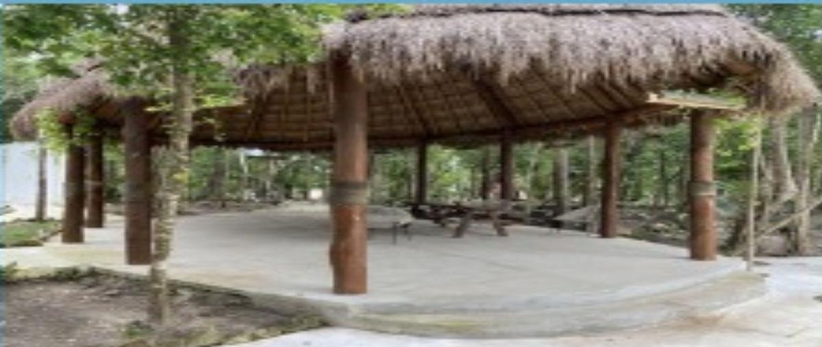 Foto de terreno habitacional en venta en suno , puerto morelos, puerto morelos, quintana roo, 0 No. 04