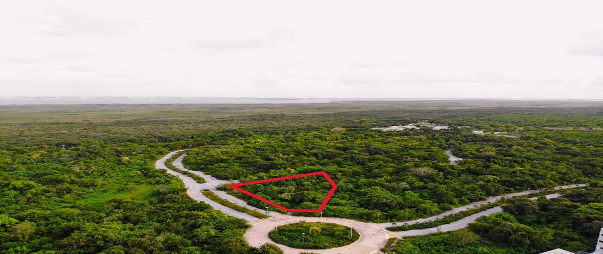 Foto de terreno habitacional en venta en  , supermanzana 10, benito juárez, quintana roo, 26207778 No. 04