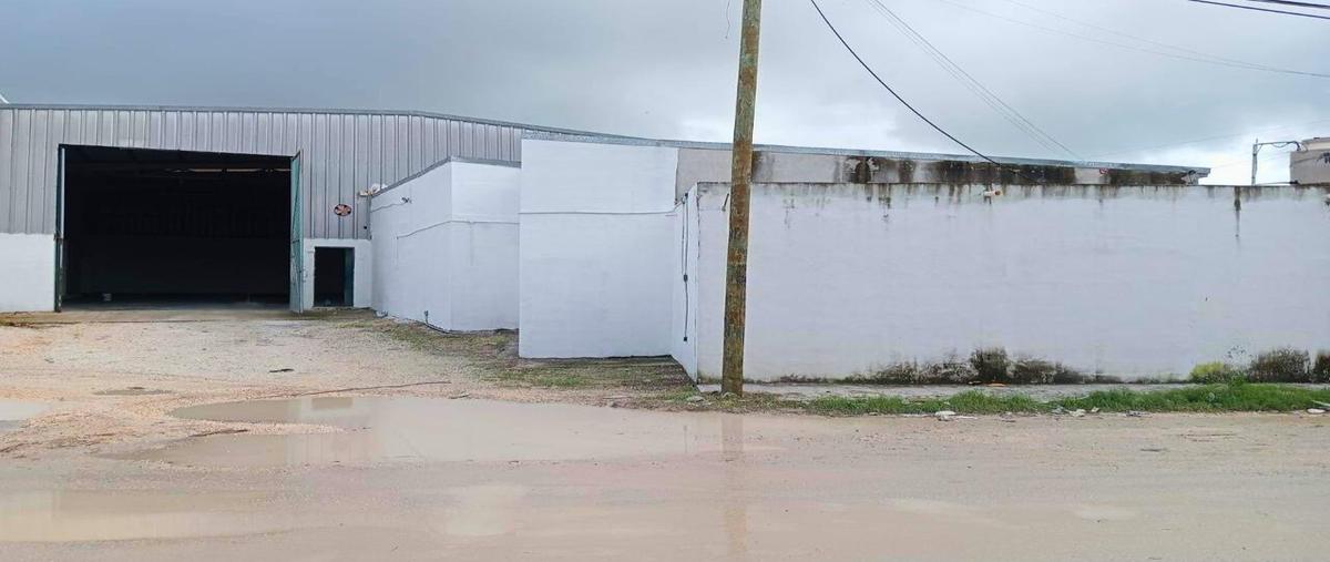 Foto de bodega en renta en  , supermanzana 104, benito juárez, quintana roo, 29369420 No. 03