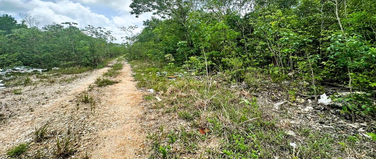 Foto de terreno habitacional en , supermanzana 113, benito juárez, quintana roo, 30093069 foto 01 Foto de terreno habitacional en venta en , supermanzana 113, benito juárez, quintana roo, 30093069 No. 01