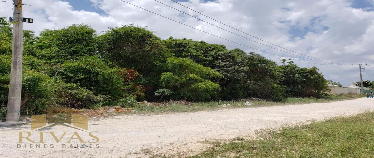 Foto de terreno habitacional en , supermanzana 212, benito juárez, quintana roo, 0 foto 04 Foto de terreno habitacional en venta en , supermanzana 212, benito juárez, quintana roo, 0 No. 04