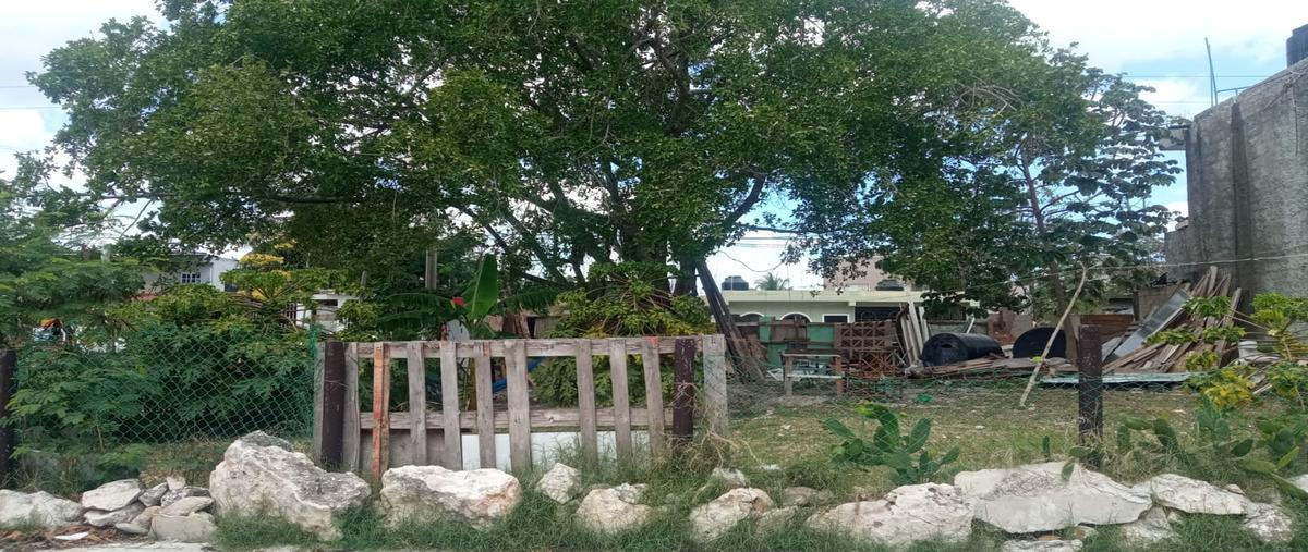 Foto de terreno habitacional en supermanzana 227 whi305793, supermanzana 227, benito juárez, quintana roo, 0 foto 05 Foto de terreno habitacional en venta en supermanzana 227 whi305793, supermanzana 227, benito juárez, quintana roo, 0 No. 05