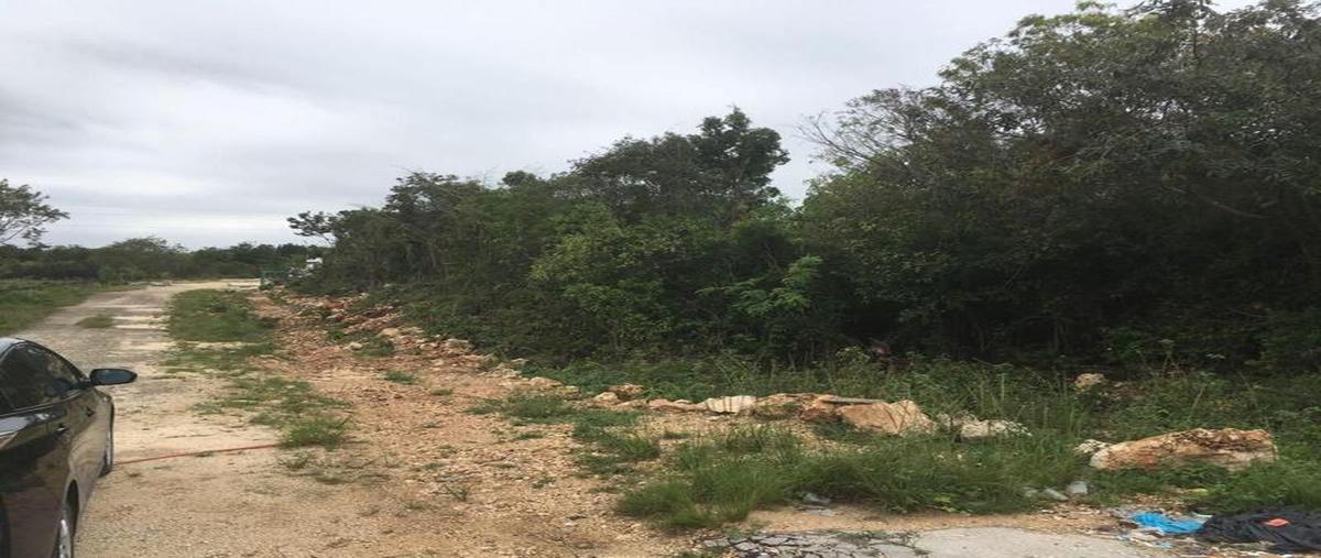 Foto de terreno habitacional en venta en  , supermanzana 237, benito juárez, quintana roo, 11506660 No. 04