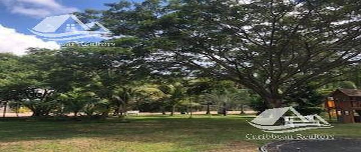 Foto de terreno habitacional en venta en  , supermanzana 237, benito juárez, quintana roo, 15150157 No. 02