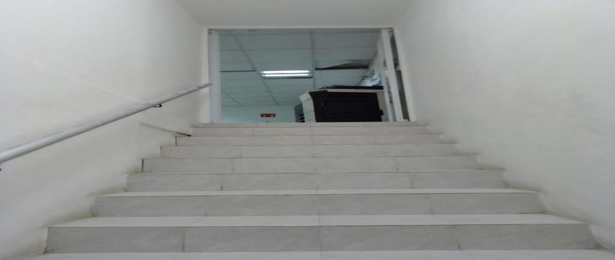 Foto de bodega en renta en  , supermanzana 237, benito juárez, quintana roo, 31000205 No. 04