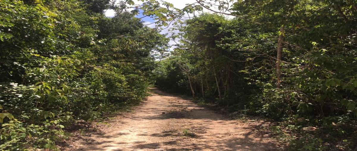 Foto de terreno habitacional en venta en  , supermanzana 237, benito juárez, quintana roo, 6782457 No. 04