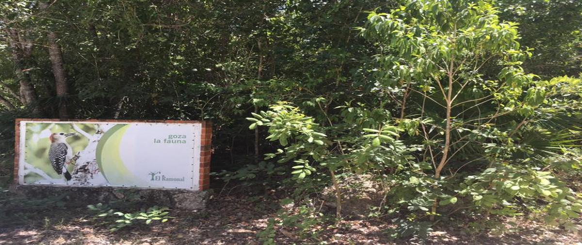 Foto de terreno habitacional en venta en  , supermanzana 237, benito juárez, quintana roo, 6782531 No. 03