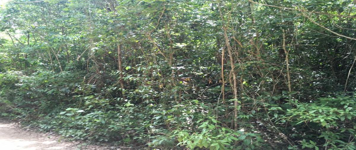 Foto de terreno habitacional en venta en  , supermanzana 237, benito juárez, quintana roo, 6782531 No. 04