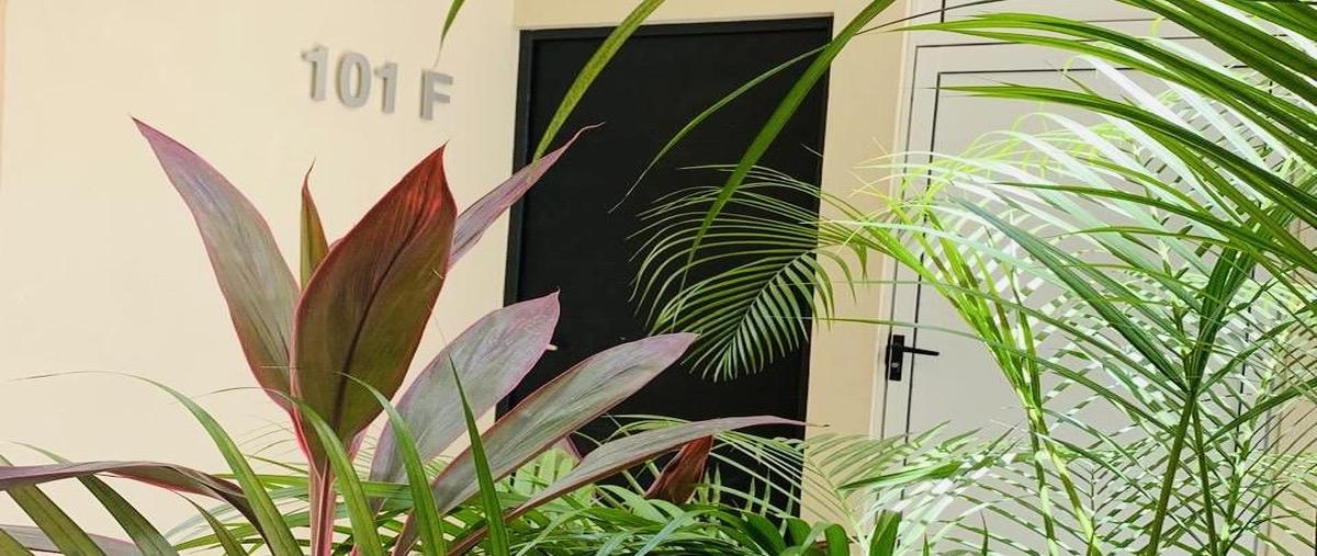 Foto de departamento en renta en  , supermanzana 239, benito juárez, quintana roo, 0 No. 03