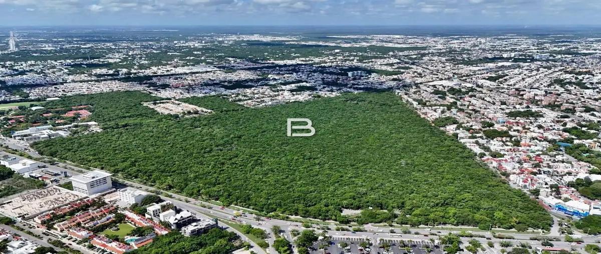 Foto de local en , supermanzana 25, benito juárez, quintana roo, 30962275 foto 04 Foto de local en venta en , supermanzana 25, benito juárez, quintana roo, 30962275 No. 04