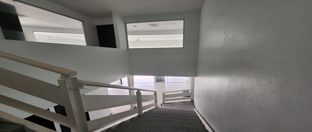 Foto de local en renta en  , supermanzana 28, benito juárez, quintana roo, 0 No. 05