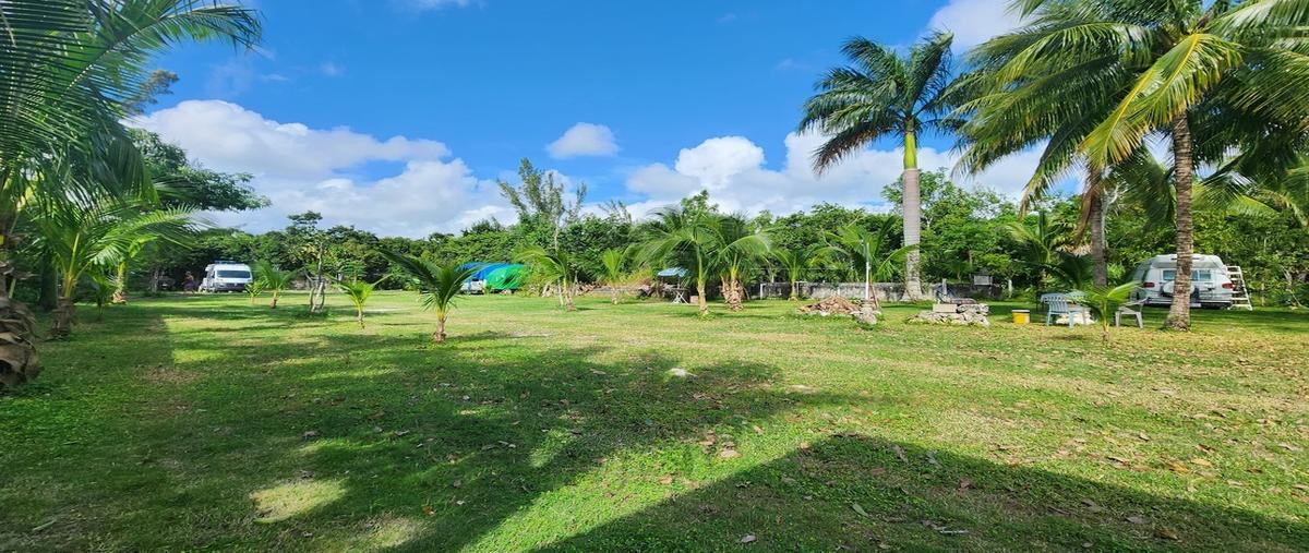 Foto de terreno habitacional en , supermanzana 295, benito juárez, quintana roo, 29006790 foto 01 Foto de terreno habitacional en venta en , supermanzana 295, benito juárez, quintana roo, 29006790 No. 01
