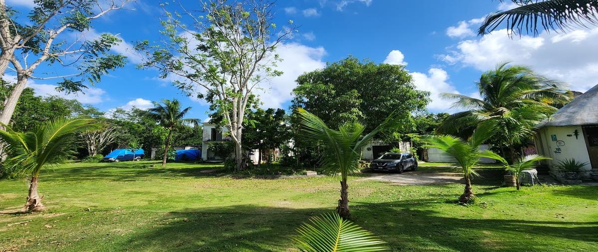 Foto de terreno habitacional en , supermanzana 295, benito juárez, quintana roo, 29006790 foto 03 Foto de terreno habitacional en venta en , supermanzana 295, benito juárez, quintana roo, 29006790 No. 03