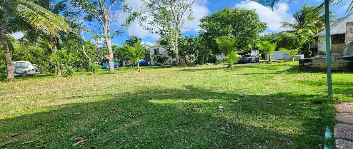 Foto de terreno habitacional en , supermanzana 295, benito juárez, quintana roo, 29006790 foto 05 Foto de terreno habitacional en venta en , supermanzana 295, benito juárez, quintana roo, 29006790 No. 05