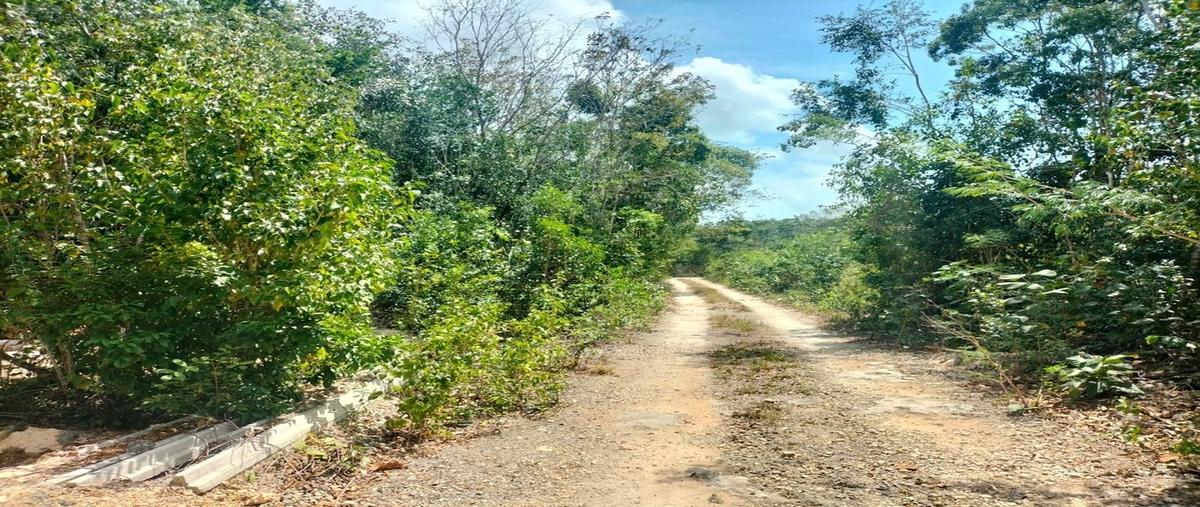 Foto de terreno habitacional en venta en  , supermanzana 295, benito juárez, quintana roo, 0 No. 04