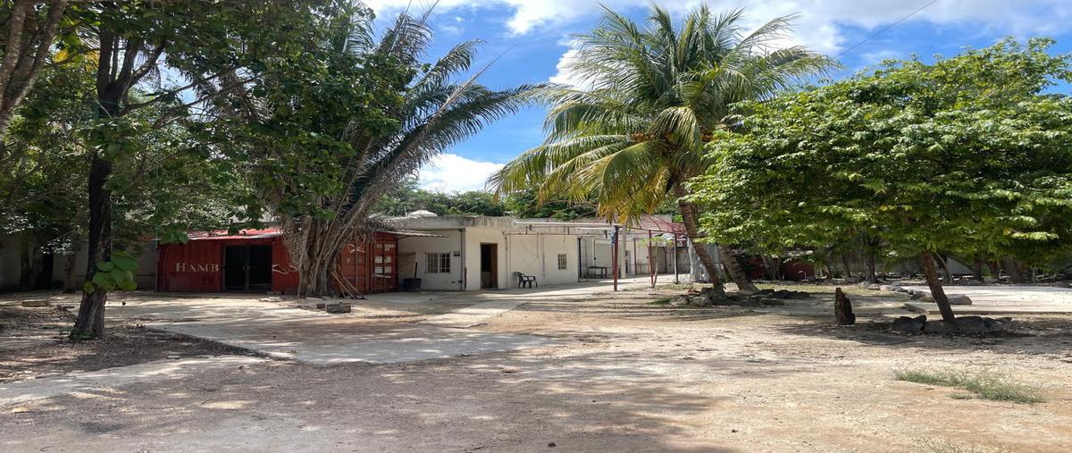 Foto de local en , supermanzana 295, benito juárez, quintana roo, 0 foto 02 Foto de local en renta en , supermanzana 295, benito juárez, quintana roo, 0 No. 02