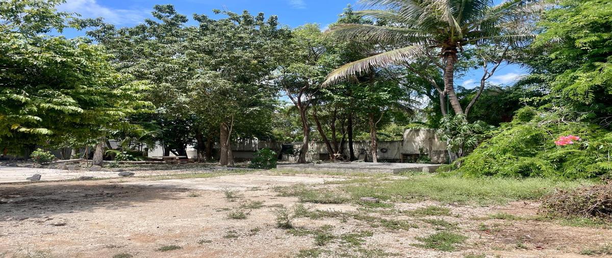 Foto de local en , supermanzana 295, benito juárez, quintana roo, 0 foto 03 Foto de local en renta en , supermanzana 295, benito juárez, quintana roo, 0 No. 03
