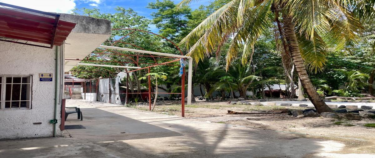 Foto de local en , supermanzana 295, benito juárez, quintana roo, 0 foto 04 Foto de local en renta en , supermanzana 295, benito juárez, quintana roo, 0 No. 04