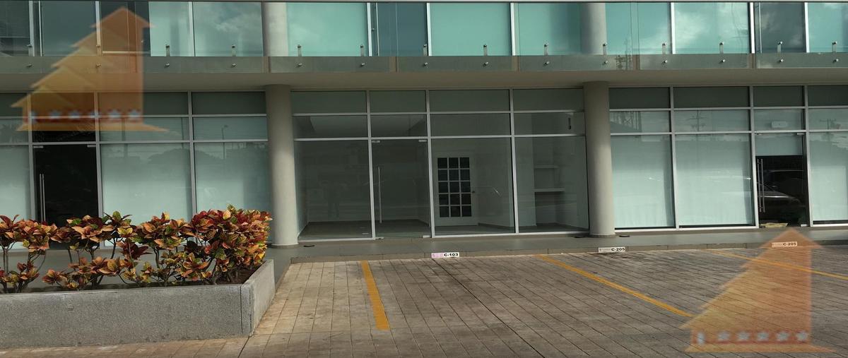 Foto de local en venta en  , supermanzana 3 centro, benito juárez, quintana roo, 31029991 No. 05