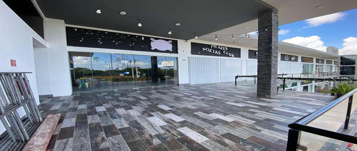 Foto de local en renta en  , supermanzana 312, benito juárez, quintana roo, 0 No. 05