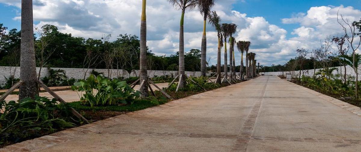 Foto de casa en venta en  , supermanzana 312, benito juárez, quintana roo, 0 No. 03