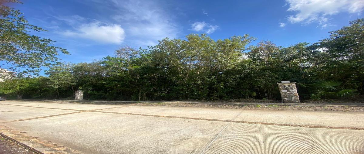 Foto de terreno habitacional en venta en  , supermanzana 312, benito juárez, quintana roo, 0 No. 03