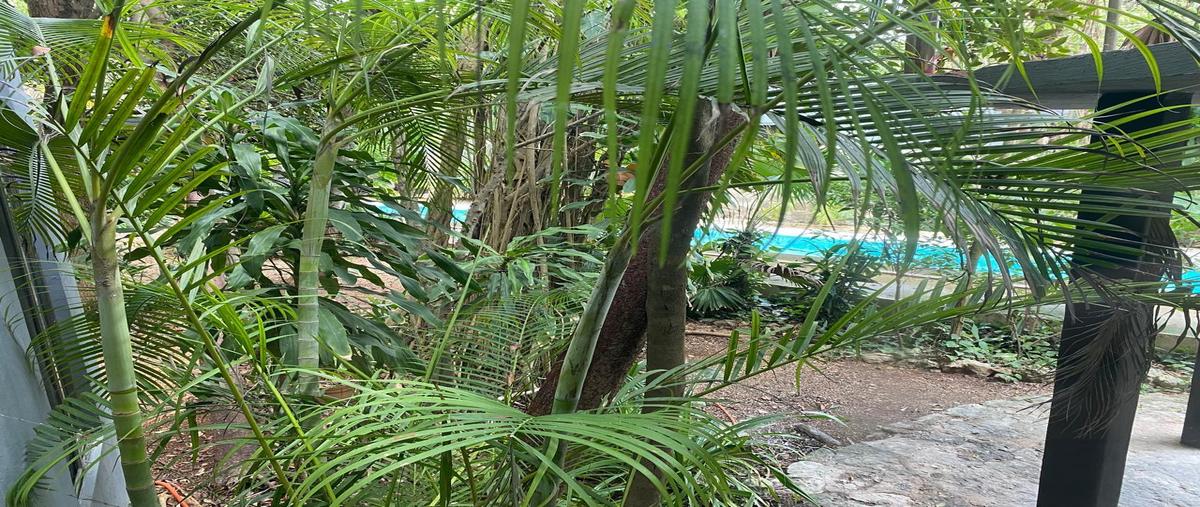 Foto de departamento en renta en  , supermanzana 312, benito juárez, quintana roo, 0 No. 04