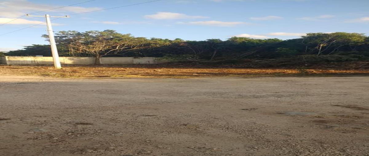 Foto de terreno habitacional en renta en  , supermanzana 313, benito juárez, quintana roo, 28580165 No. 03