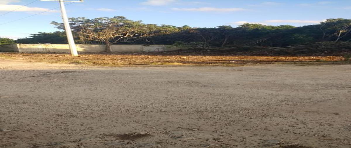 Foto de terreno habitacional en renta en  , supermanzana 313, benito juárez, quintana roo, 28580165 No. 04