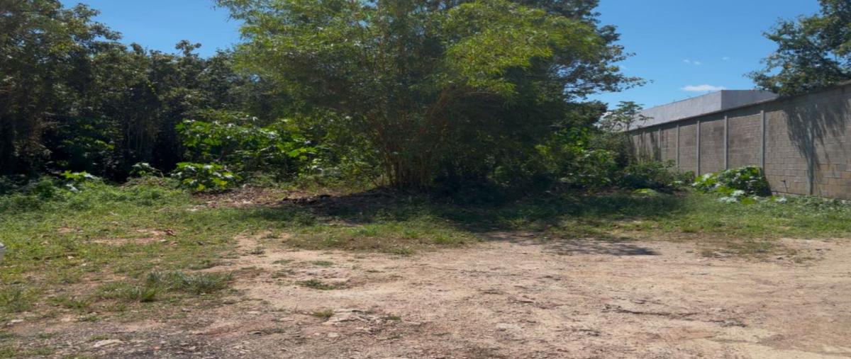 Foto de terreno habitacional en venta en  , supermanzana 313, benito juárez, quintana roo, 0 No. 05