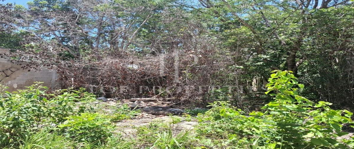 Foto de terreno habitacional en venta en  , supermanzana 313, benito juárez, quintana roo, 0 No. 03