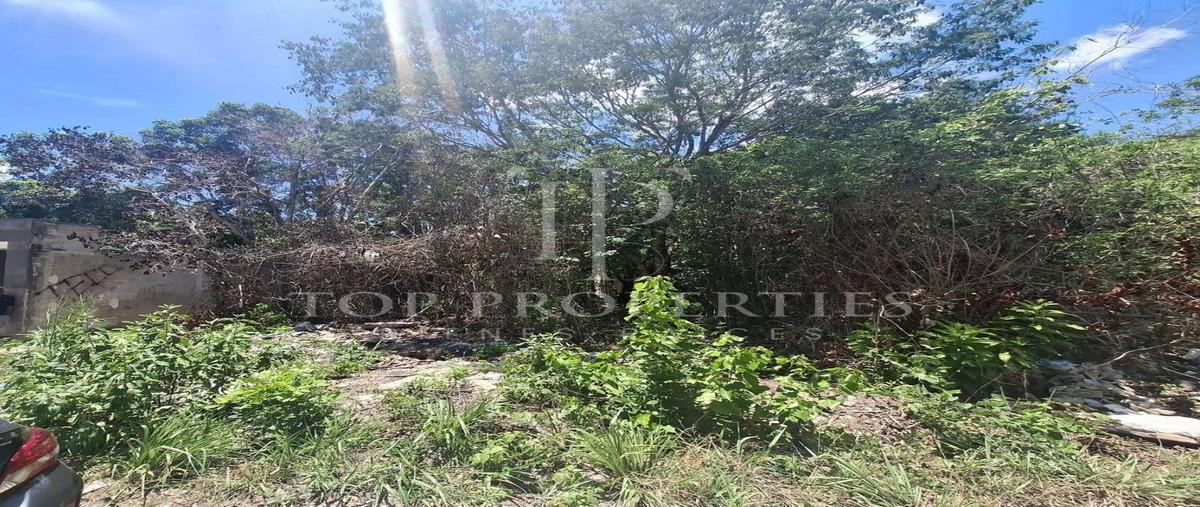 Foto de terreno habitacional en venta en  , supermanzana 313, benito juárez, quintana roo, 0 No. 04