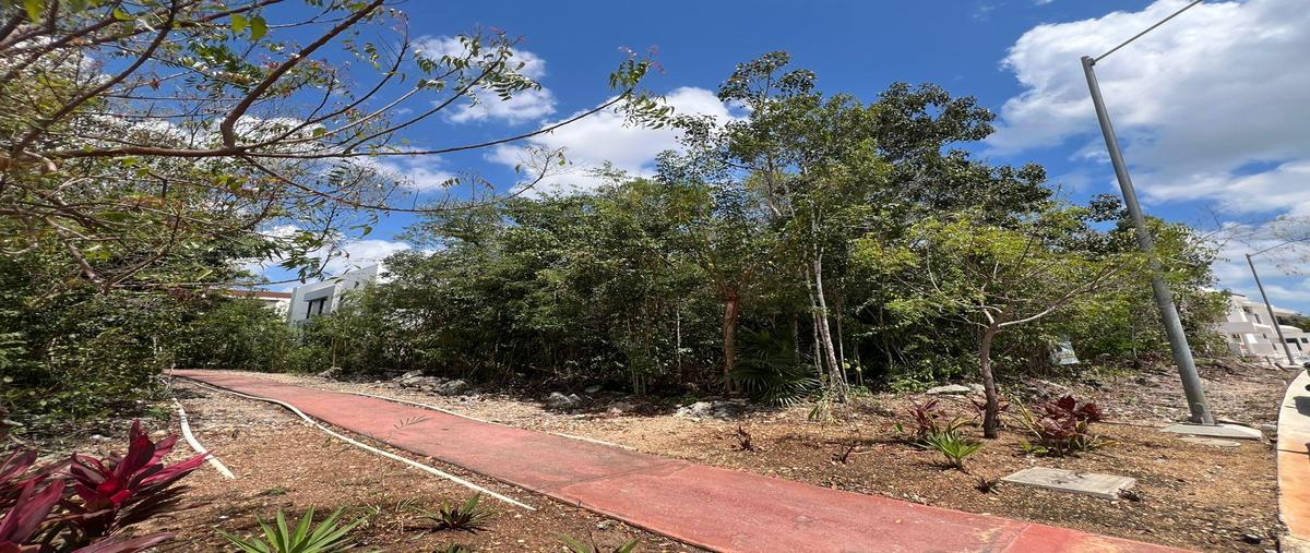 Foto de terreno habitacional en venta en  , supermanzana 313, benito juárez, quintana roo, 31016751 No. 04