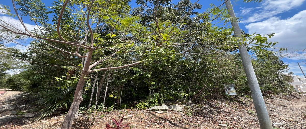 Foto de terreno habitacional en venta en  , supermanzana 313, benito juárez, quintana roo, 31016751 No. 05