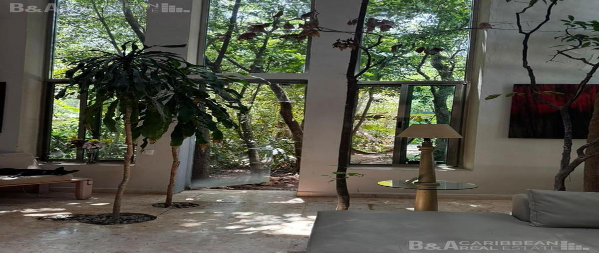 Foto de edificio en renta en  , supermanzana 313, benito juárez, quintana roo, 31558465 No. 05