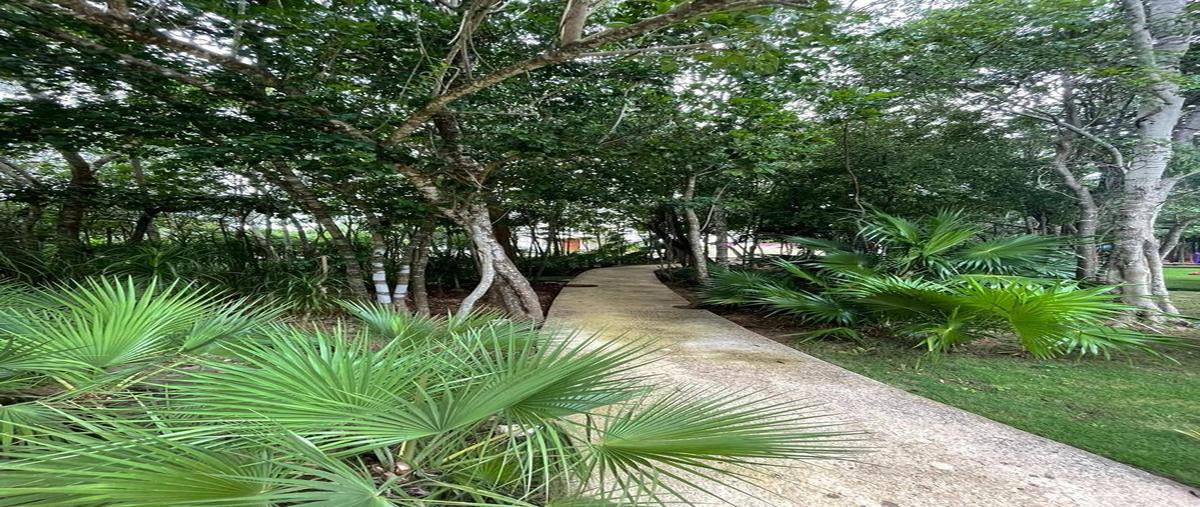 Foto de terreno habitacional en venta en  , supermanzana 325, benito juárez, quintana roo, 0 No. 05