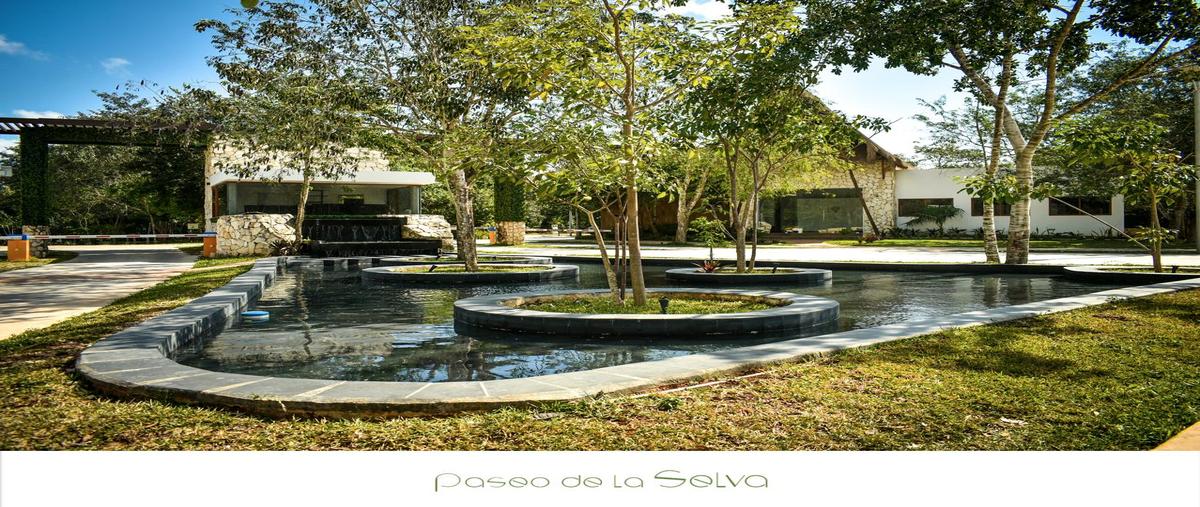 Foto de terreno habitacional en venta en  , supermanzana 326, benito juárez, quintana roo, 0 No. 05