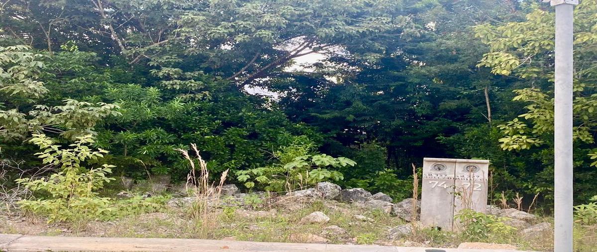 Foto de terreno habitacional en venta en  , supermanzana 327, benito juárez, quintana roo, 0 No. 03