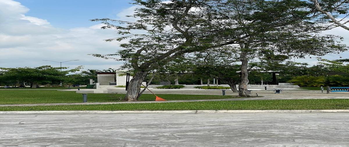 Foto de terreno habitacional en venta en  , supermanzana 47, benito juárez, quintana roo, 28775703 No. 04