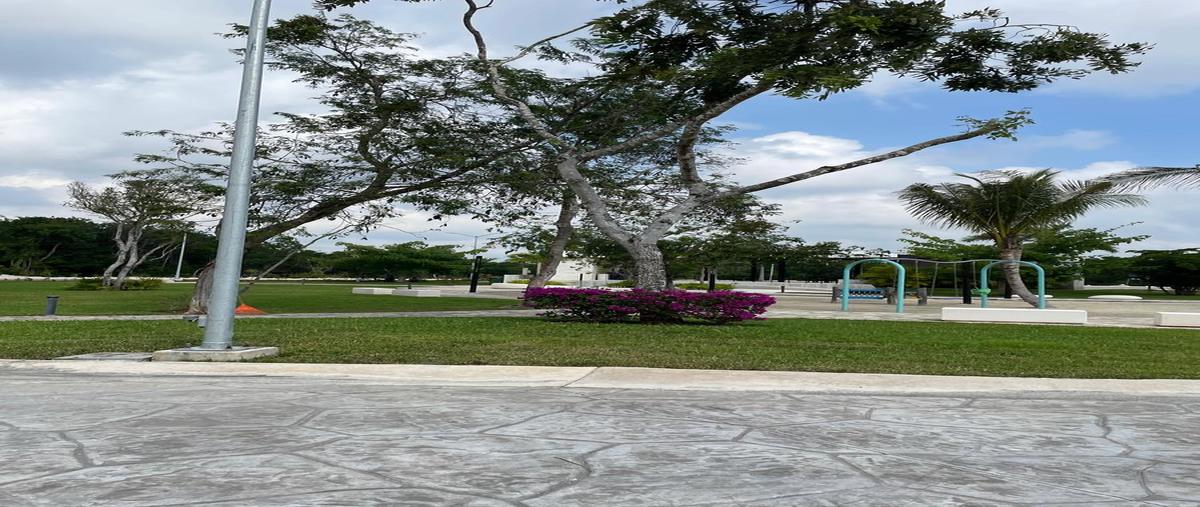 Foto de terreno habitacional en venta en  , supermanzana 47, benito juárez, quintana roo, 28775703 No. 05