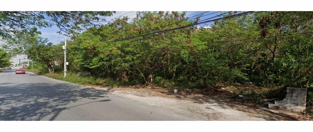 Foto de terreno habitacional en venta en  , supermanzana 50, benito juárez, quintana roo, 26243688 No. 03