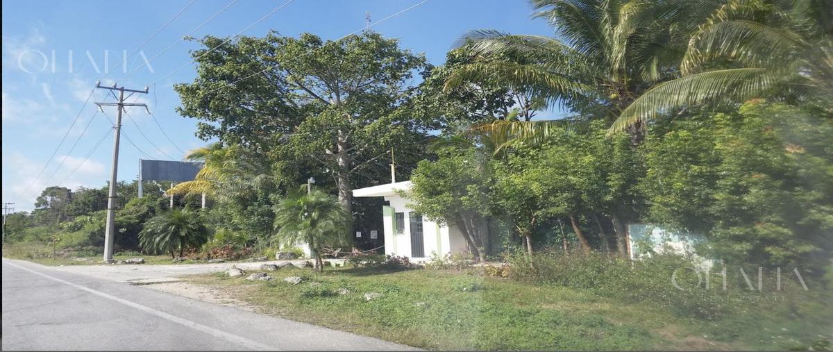 Foto de terreno habitacional en venta en  , supermanzana 511, benito juárez, quintana roo, 28895368 No. 03