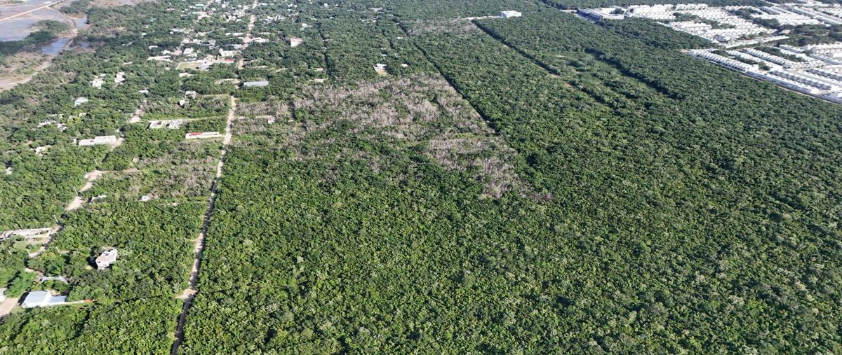 Foto de terreno habitacional en venta en  , supermanzana 530, benito juárez, quintana roo, 29026747 No. 04