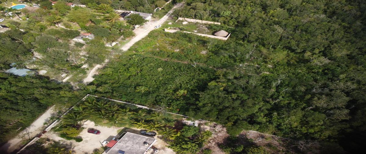 Foto de terreno habitacional en venta en  , supermanzana 530, benito juárez, quintana roo, 29026747 No. 05