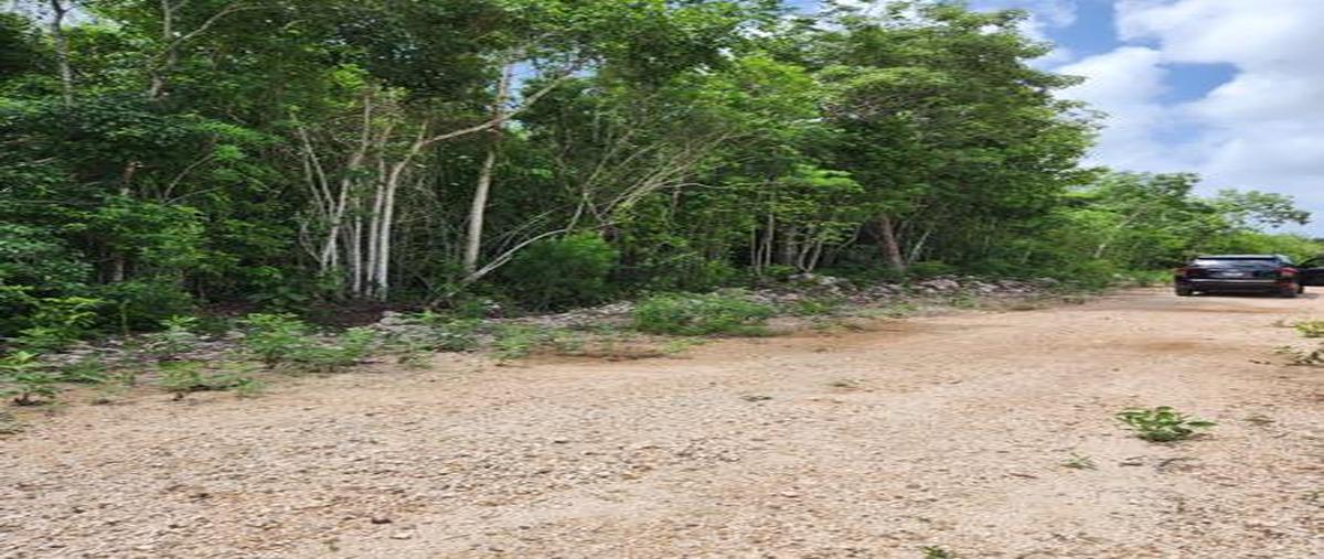 Foto de terreno habitacional en venta en  , supermanzana 530, benito juárez, quintana roo, 0 No. 03