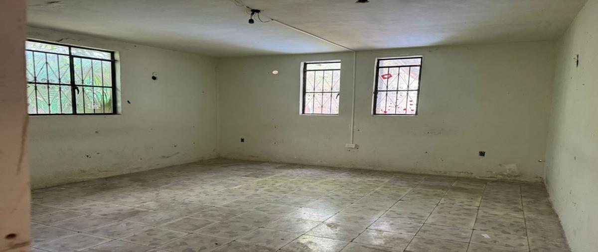 Foto de casa en , supermanzana 60, benito juárez, quintana roo, 0 foto 04 Foto de casa en venta en , supermanzana 60, benito juárez, quintana roo, 0 No. 04